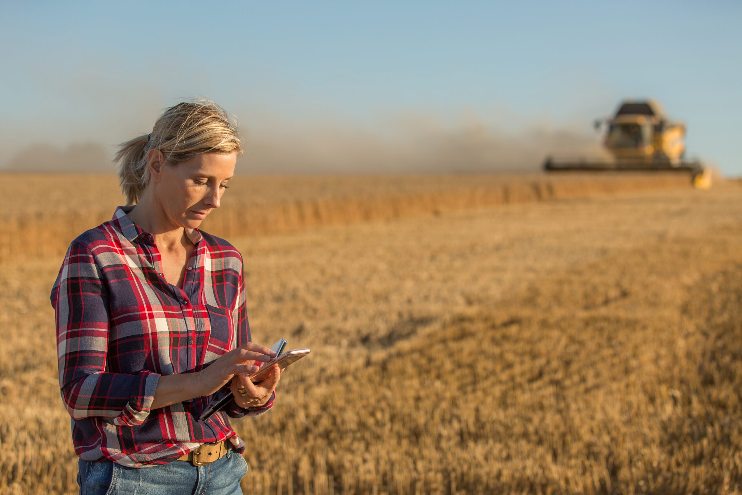 Female,Farmer,And,Combine,Harvester A young farmer looks at his phone walking away from a truck driver in the field.